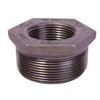 Galvanized Reducing Bush