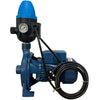 0.75 kw Monoblock Pump kit