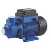 CRI Peripheral water pump 0.75kw