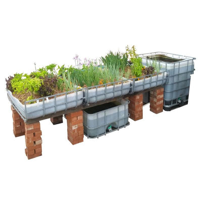 Aquaponics Executive DIY kit | Flowbins (Pty) Ltd
