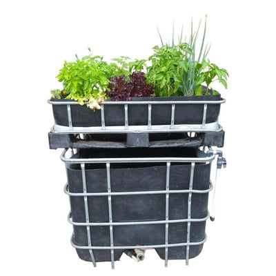 Aquaponics DIY basic Starter kit | Flowbins (Pty) Ltd