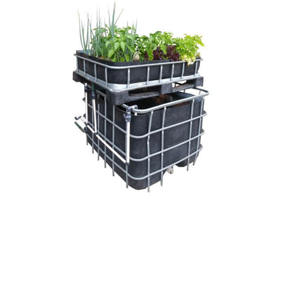 Aquaponics DIY basic Starter kit | Flowbins (Pty) Ltd
