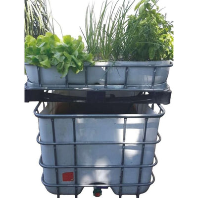 Aquaponics DIY basic Starter kit | Flowbins (Pty) Ltd